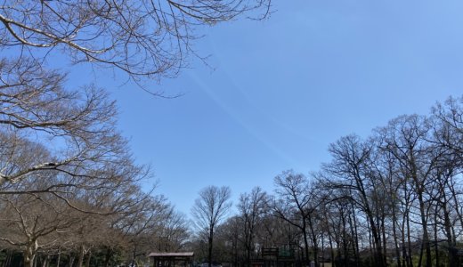 ココロ学童お楽しみデイin桐生