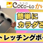 【ストレッチ器具】立つだけでスッキリ!ストレッチングボードでカラダ改善|ココロかいごTV